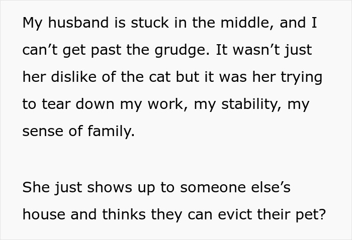 ALT text: Unhinged MIL shows up uninvited and makes demands, threatening the stability of family and evicting a pet cat.
