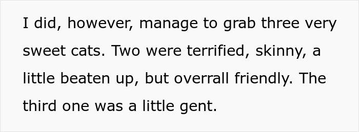 Text excerpt describing rescuing three cats, relevant to neutering cat owners drama discussion.