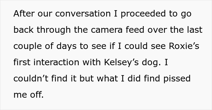 Text excerpt about reviewing camera footage after a friend agrees to house sit but mistreats dogs by locking some up.