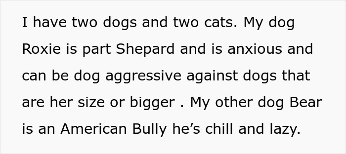 Text on a white background describing two dogs: one anxious and dog aggressive, the other chill and lazy, as part of a house sit story.