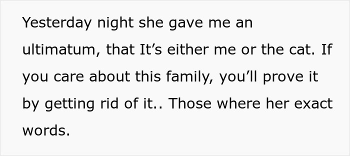 Text message showing an ultimatum demanding to choose between me or the cat in a family conflict with an unhinged MIL.