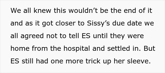 Text excerpt about siblings and adoption papers, illustrating confusion in a babysitting and adoption situation.