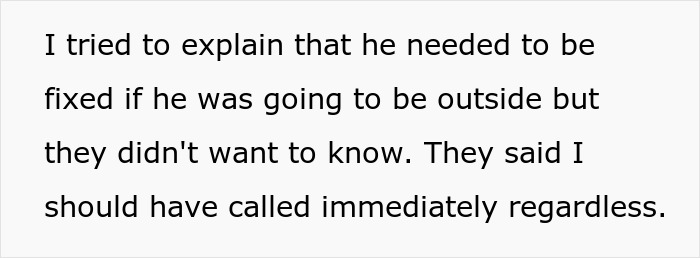 Text excerpt discussing challenges faced by cat owners regarding neutering and communication drama.