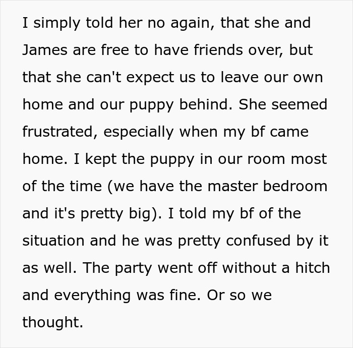 Text about woman accusing homeowners of ruining her party because they didn&rsquo;t leave their home or puppy behind.