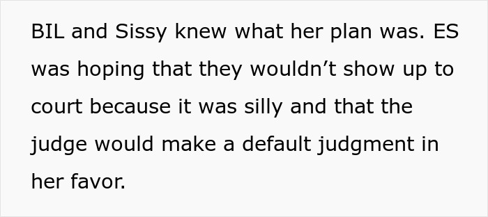 Text excerpt from article about sister sending adoption papers after misunderstanding a babysitting offer, discussing court and judgment.