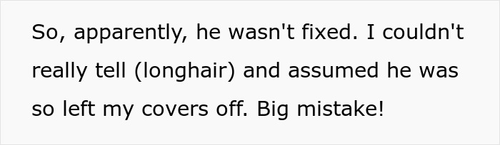 Text excerpt about a cat owner&rsquo;s mistake assuming their longhair cat was neutered, highlighting neutering cat owners drama.