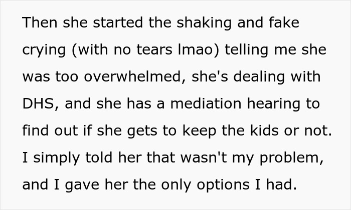 Text excerpt describing a woman&rsquo;s fake crying and shaking during a dispute over kids and a mediation hearing with DHS.