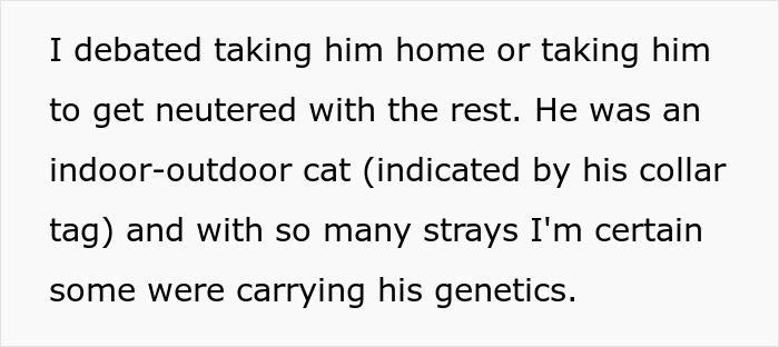 Text about debating whether to take an indoor-outdoor cat to get neutered amid concerns from cat owners drama.