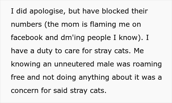 Alt text: Excerpt of a discussion about the drama cat owners face regarding neutering and caring for stray cats.