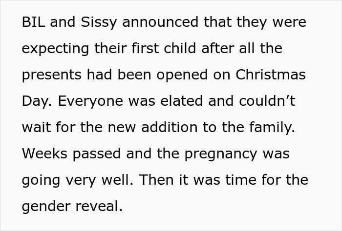 Text excerpt about a sister mistakenly sending adoption papers after a babysitting offer is misunderstood.