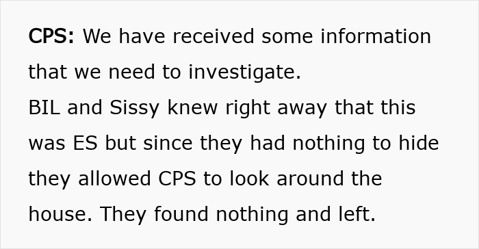 Text excerpt discussing CPS investigation after sister sends adoption papers, confused by babysitting offer.