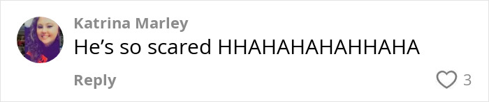 Comment on social media post reacting with laughter to a viral video of a Black man confronting a white man over a racial slur in a library.