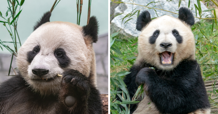 Jokes Hub: Funny, Relatable, And Shareable Jokes All In One Place