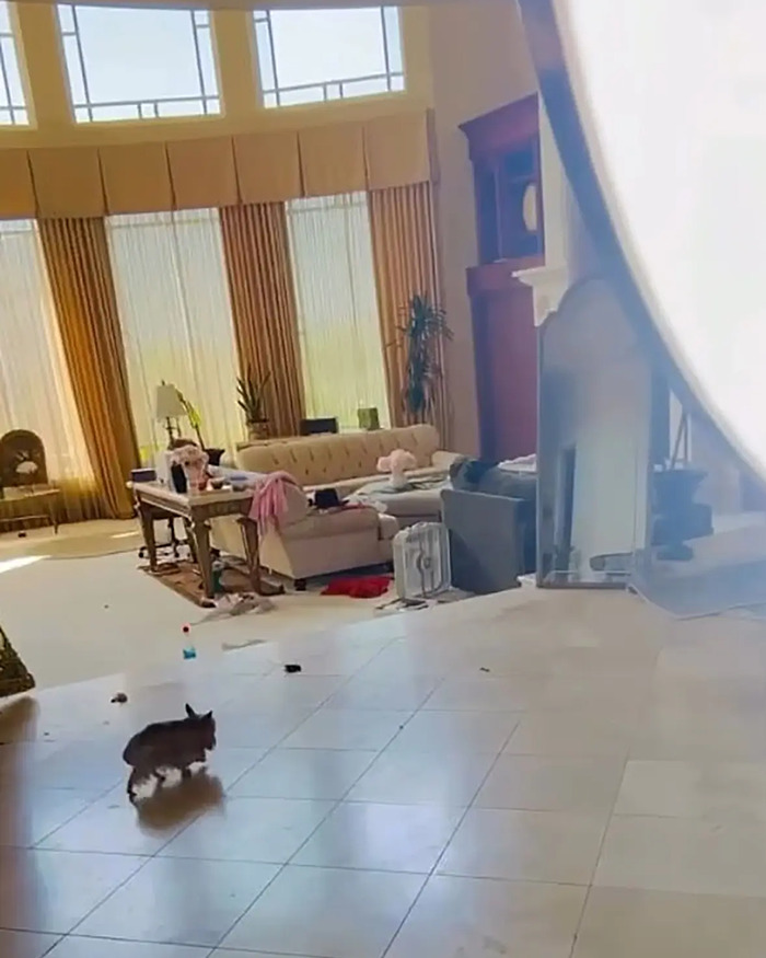 Britney Spears Shuts Down Critics With Justin Bieber Post After Dog Poop Incident Goes Viral