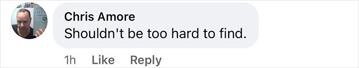 Comment from Chris Amore saying shouldn't be too hard to find, related to Tyler Robinson's trans partner disappearance. Comment from Chris Amore saying shouldn't be too hard to find, related to Tyler Robinson's trans partner disappearance.