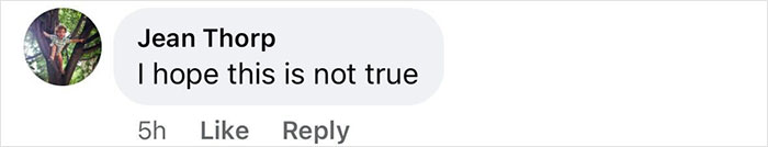 Screenshot of a social media comment by Jean Thorp expressing hope that news about Nicole Kidman and Keith Urban split is not true.