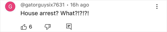 Comment on social media post expressing shock about house arrest, related to cheerleader pleading not guilty after stuffing newborn in closet.