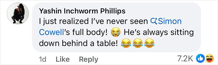 Screenshot of a social media comment mentioning Simon Cowell&rsquo;s full body after a bike accident that worried fans.