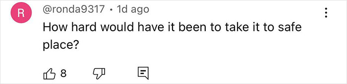 Comment by user ronda9317 asking how hard it would have been to take the newborn to a safe place in a discussion thread.