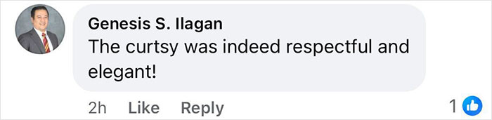 Comment saying the curtsy was respectful and elegant in a social media post about Kate Middleton and King Charles.