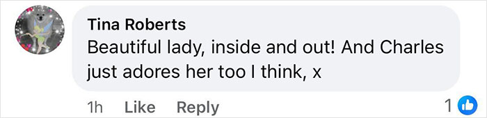 Kate Middleton kindly says goodbye to King Charles with a gentle kiss on the cheek after the royal funeral.