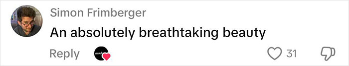 Comment by Simon Frimberger saying an absolutely breathtaking beauty with 31 likes on a social media post.