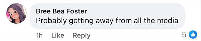 Comment from Bree Bea Foster suggesting someone is likely getting away from media attention amid disappearance and neighbors’ reactions. Comment from Bree Bea Foster suggesting someone is likely getting away from media attention amid disappearance and neighbors’ reactions.