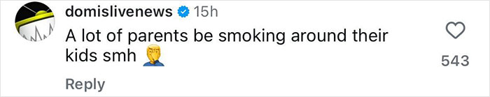 Comment from social media expressing concern about parents smoking around children related to hotboxing in a car with a toddler.