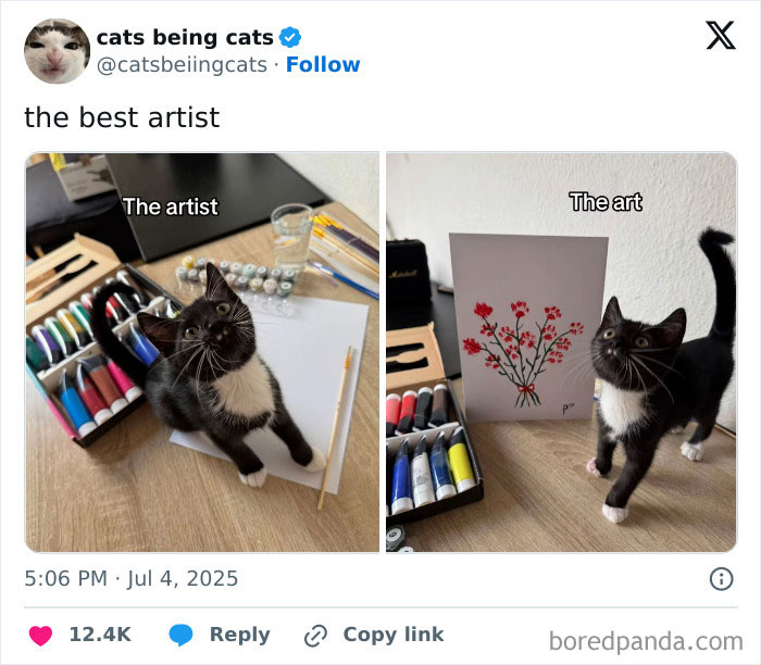 Black and white cat next to paint supplies and a humorous flower painting showing cats being funny by just being themselves.