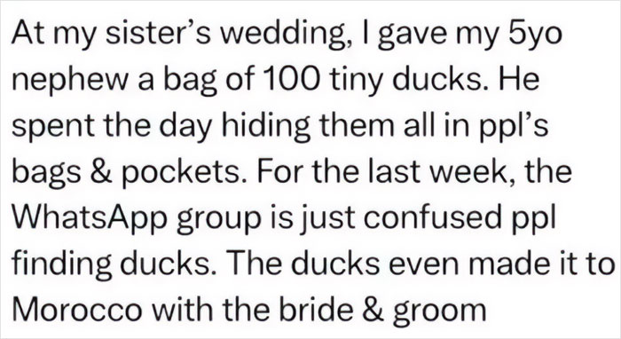 At a wedding, a 5-year-old hid 100 tiny ducks in guests’ bags and pockets, causing playful chaos and confusion.