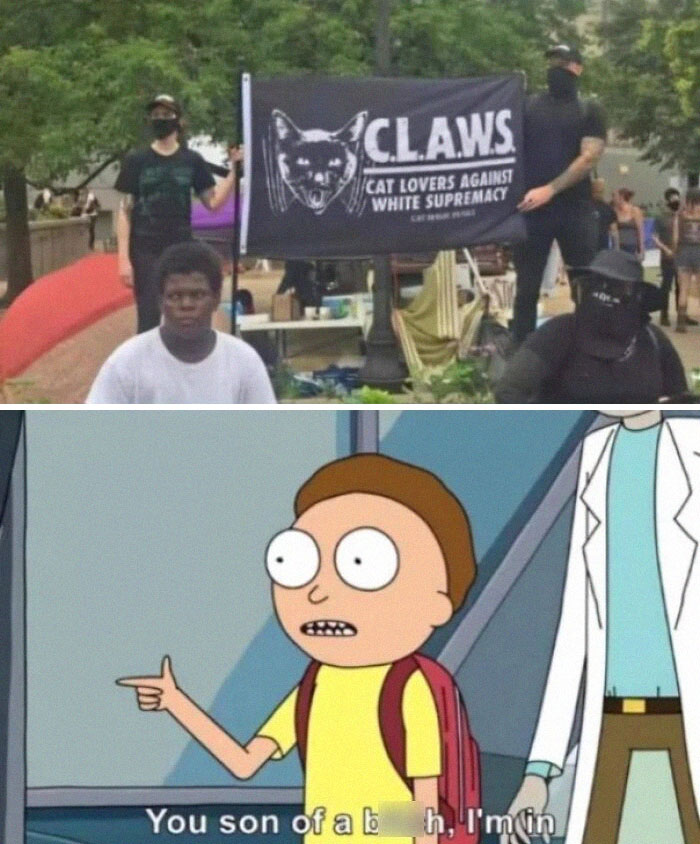 Protesters holding a chaotic good Cat Lovers Against White Supremacy banner with Rick and Morty cartoon meme below.