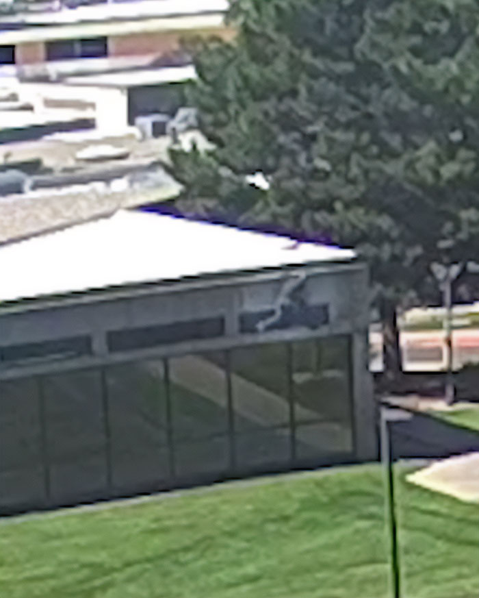 CCTV footage captures the main suspect's daring escape near a building surrounded by trees and a grassy area.