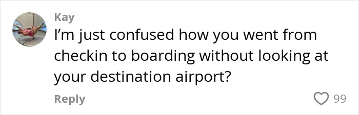 Comment by user Kay expressing confusion about tourists boarding a flight to Africa instead of their intended France destination.