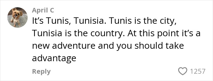 Comment from April C explaining the difference between Tunis city and Tunisia country in a confused tourists flight mix-up.
