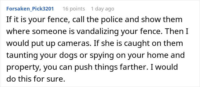 Comment discussing fence vandalism and advice on handling neighbor spying and dog taunting incidents.