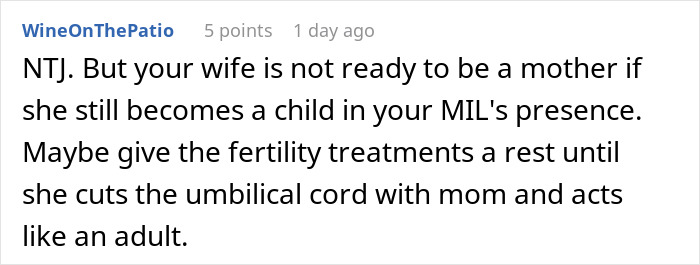 Screenshot of an online comment discussing MIL banned from visiting couple after secret digging through trash revealed.