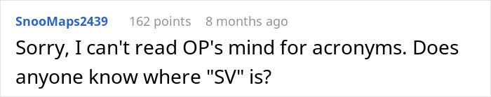 Screenshot of a Reddit comment questioning the meaning of acronym SV in a discussion about an art class memory mix-up.
