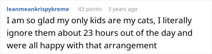 Screenshot of a social forum comment expressing relief at having cats instead of children due to the hardships of motherhood. Screenshot of a social forum comment expressing relief at having cats instead of children due to the hardships of motherhood.