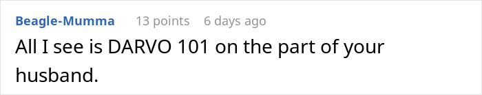 Comment text reading DARVO 101 in response to a woman suspicious of husband&rsquo;s coworker nannying his girlfriend&rsquo;s children for free.