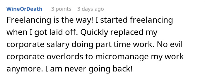 Comment discussing freelancing success after being laid off, highlighting freedom and replacing corporate salary.