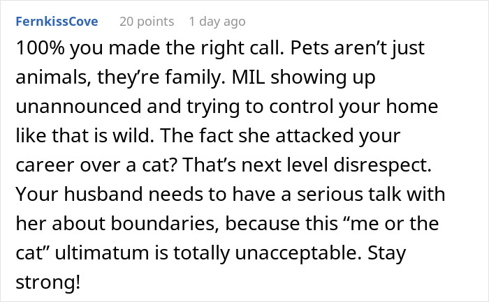 Alt text: Text comment about unhinged MIL showing up uninvited and making demands over a cat and family boundaries.
