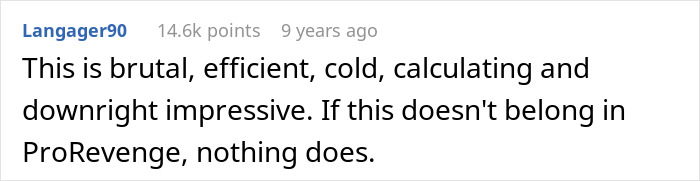 Screenshot of a Reddit comment praising a brutal and efficient pro revenge story about a husband outsmarting cheating wife.