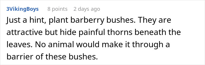 Comment suggesting planting barberry bushes to deter animals, relating to teaching rude dog owners respect.