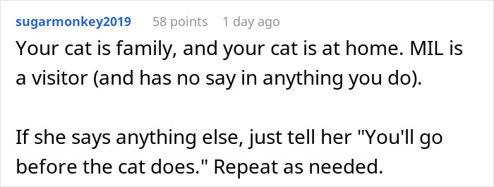 Text post from a user explaining how a demanding MIL showed up uninvited and the cat is considered family at home.
