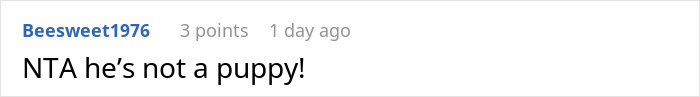 Screenshot of an online comment reading NTA he&rsquo;s not a puppy about a mom giving up her baby and wanting it back years later.