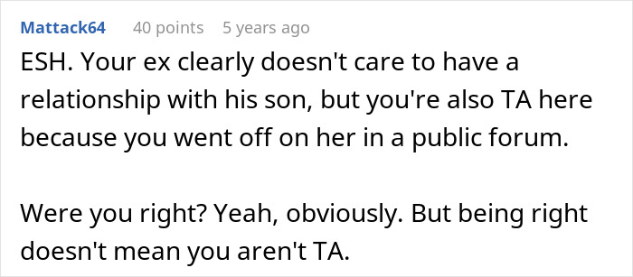 Online comment criticizing mom bragging about "No Boys Necessary" and husband's abandoned son situation in a public forum. Online comment criticizing mom bragging about "No Boys Necessary" and husband's abandoned son situation in a public forum.