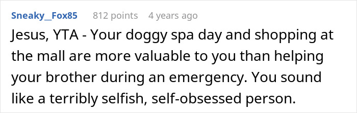 Comment discussing refusing to look after brother's children, calling the person selfish and self-obsessed. Comment discussing refusing to look after brother's children, calling the person selfish and self-obsessed.