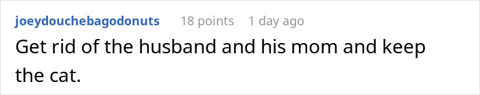 Screenshot of a Reddit comment suggesting to get rid of the husband and his mom and keep the cat in a family dispute.