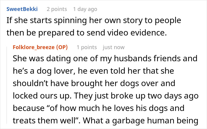Screenshot of a Reddit conversation discussing a friend locking up dogs while her own roam free.