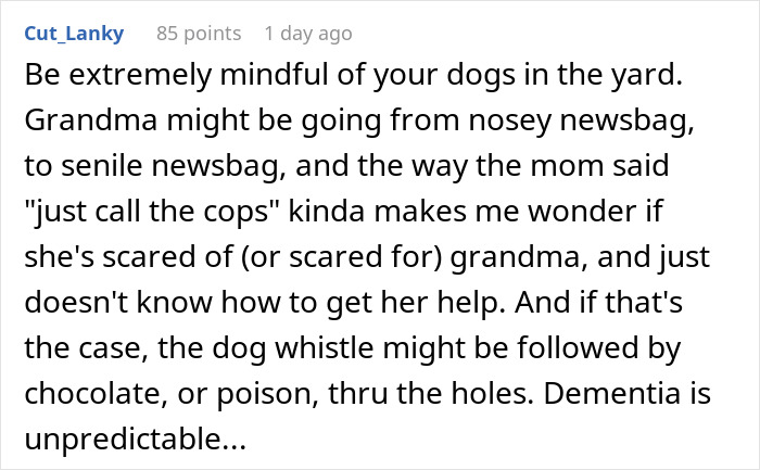 Comment discussing concerns about a neighbor's mom drilling holes in fence to spy and the risks of taunting dogs.